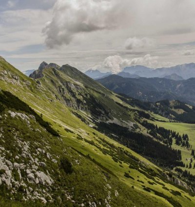 Land for Sale - 4.92 Acres in Savannah Region