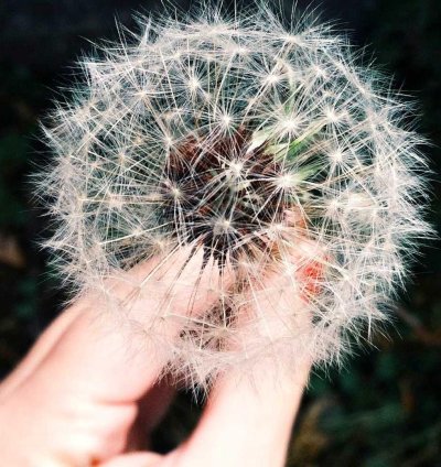 Land for Sale - 4.27 Acres in Ashanti Region