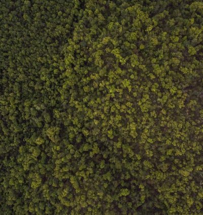 Ranch Mixed Use Plan - 3 Bedrooms