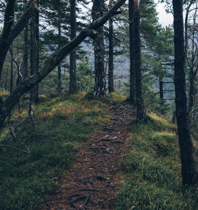 Contemporary Mixed Use Plan - 2 Bedrooms