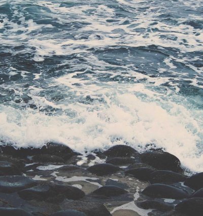 Ranch Commercial Plan - 6 Bedrooms