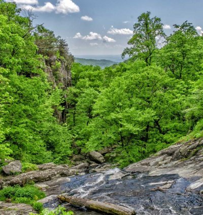 Colonial Commercial Plan - 4 Bedrooms