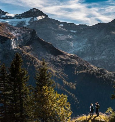 Cottage Residential Plan - 3 Bedrooms