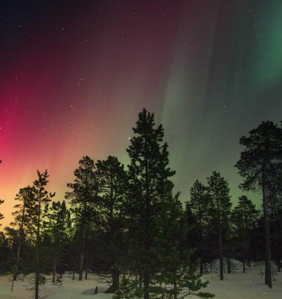 Contemporary Residential Plan - 6 Bedrooms