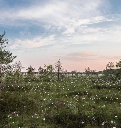 Construction Cost Estimate