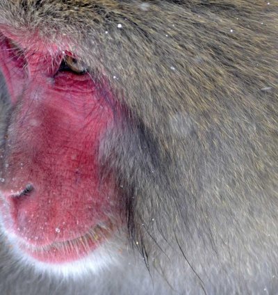 Construction Cost Estimate