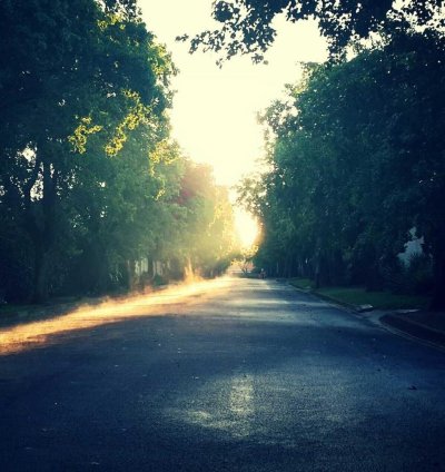 Construction Cost Estimate