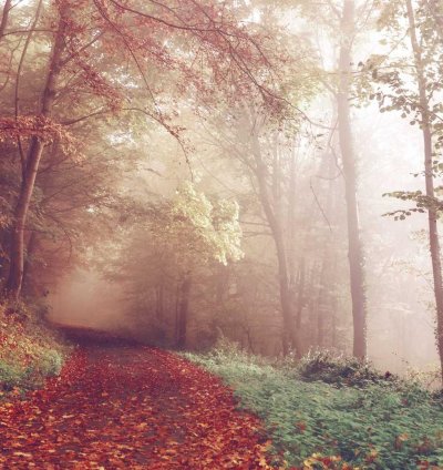 Construction Cost Estimate