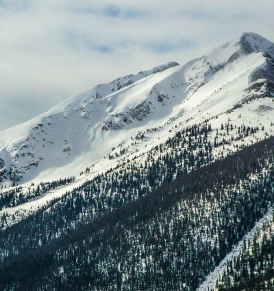 Construction Cost Estimate