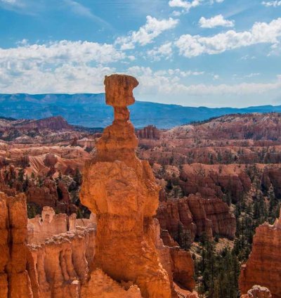 Construction Cost Estimate