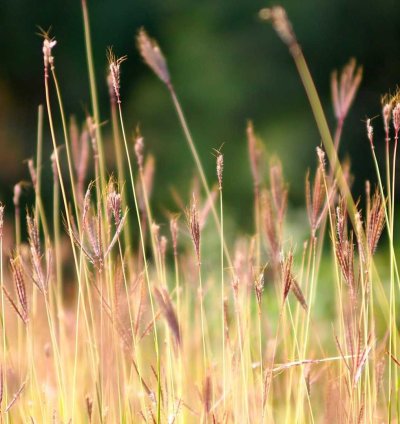 Construction Cost Estimate