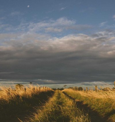 Construction Cost Estimate (Template)