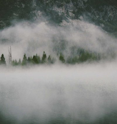 Electrical Wires - roll