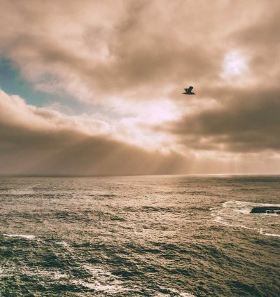 Land for Sale - 4.99 Acres in Greater Accra Region