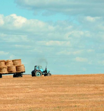 Land for Sale - 1.22 Acres in Bono Region