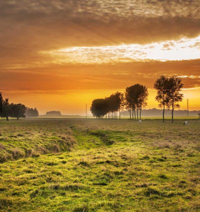 Land for Sale - 0.70 Acres in Savannah Region