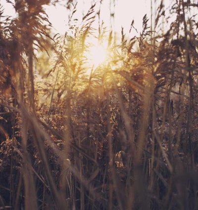 Land for Sale - 3.60 Acres in Upper East Region